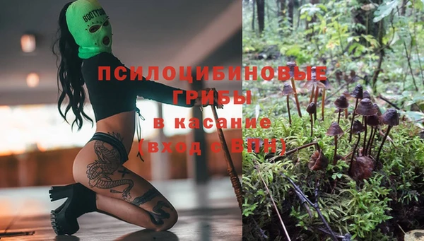 скорость Арсеньев