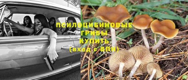 мяу мяу кристалл Армянск